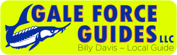 Logo Gale force guides