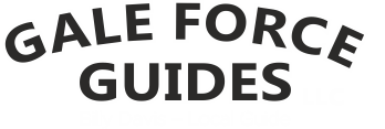 Gale Force Guides Logo-Gale-force-guides-black-white